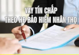 Vay Tiền Theo Hợp Đồng Bảo Hiểm Nhân Thọ