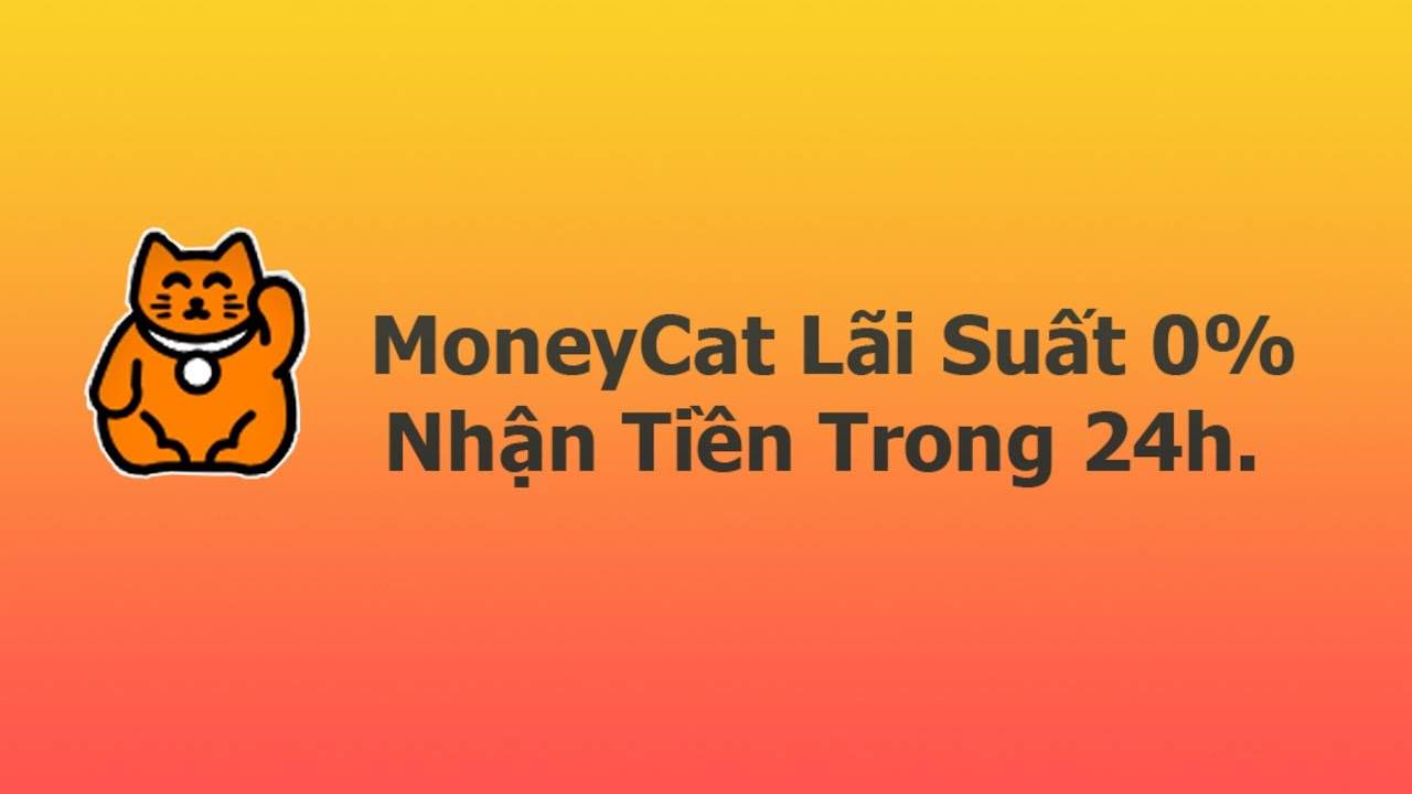 vay 100 triệu trong 2 năm lãi suất bao nhiêu