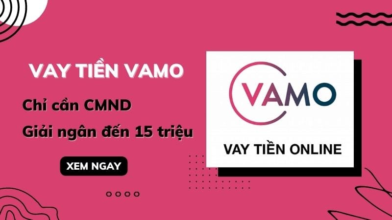 vay 100 triệu trong 2 năm lãi suất bao nhiêu